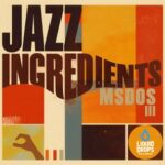 MSDOS – JAZZ INGRIDIENTS III