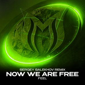 Sergey Salekhov, FEEL – Now We Are Free (Sergey Salekhov Remix)
