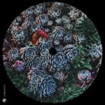 1e20b4a1 6e62 4c1f a503 7408162b130a