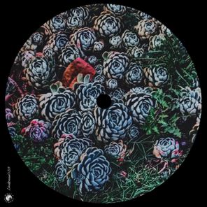 Marvin Boettcher – Feels Like