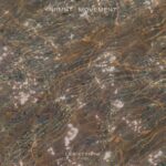 2ee7c0e4 f941 4558 86e0 4cda1643c819