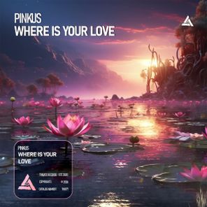 Pinkus – Where Is Your Love