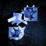 Hydrous, Assimilated – Totem Collapse EP