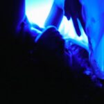 4b6ea9e3 089b 4652 bc04 77358ae3c733