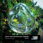 6557a13f 0c2f 4fdf 93fe 3705fc4b1b0f