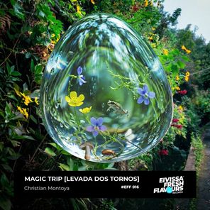 Christian Montoya – Magic Trip