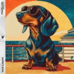 6f209891 a295 4e41 978b 5d55aa741be3