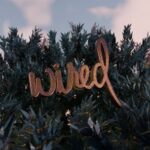 72581220 899e 4762 bcee 80798b618892