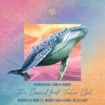 7aaf0ab7 a5db 4c42 b193 5311679ca65b