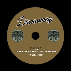 The Velvet Stripes – Funkin