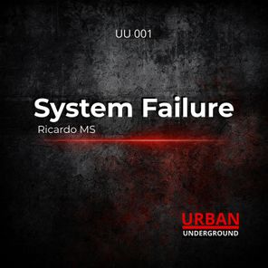 Ricardo MS – System Failure