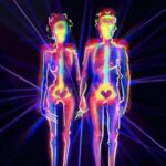 a496afdd f605 4667 a3bd f7895051088d