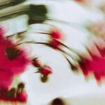 ab874b63 bd66 4825 9e5a c695d41e1377