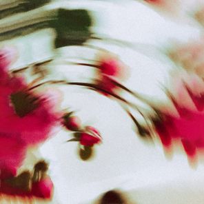 Bip Soup – Simulated Reality LP