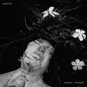 codenzi – Exhaust