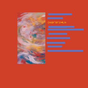 A. Whales – Overgrowth