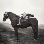 caa458a2 4261 4cce b743 a9febf1d9955