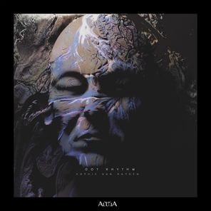 Roman Adam, Sophie van Hayden – Got Rhythm