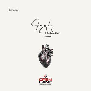 DJ Flipside - Feel Like 1 DJ Flipside – Feel Like