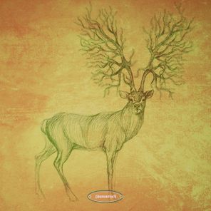 Dan Rubell, Najwars – Ghost Notes