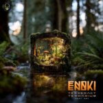 Enoki – Tesseract Terrarium