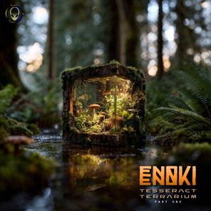 Enoki – Tesseract Terrarium