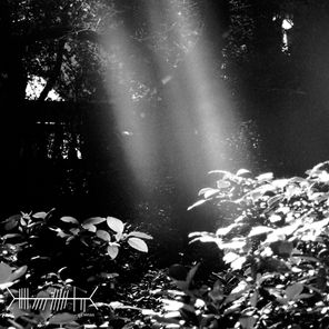 Stanislav Tolkachev, Pulso – Ein Sonnenstrahl