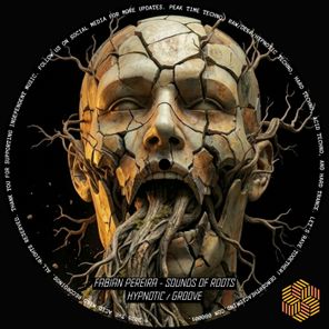 Fabian Pereira – Sounds of Roots
