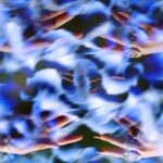 Eyezic, Babsy. – Learn to Let Go